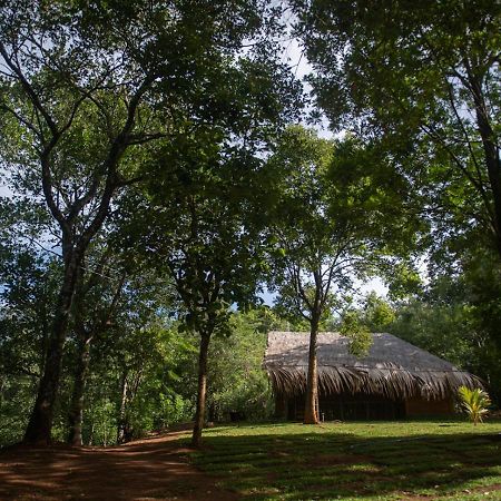 The Forestry Camps Karagastalawa Экстерьер фото