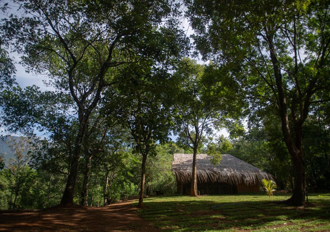 The Forestry Camps Karagastalawa Экстерьер фото